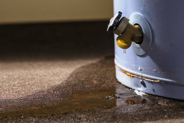 Best Ceiling water damage repair  in Highland, KS