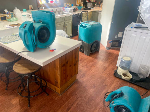 Highland, KS Water damage restoration Pros