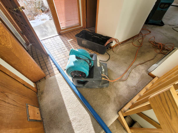 Best Water damage restoration mold remediation  in Highland, KS