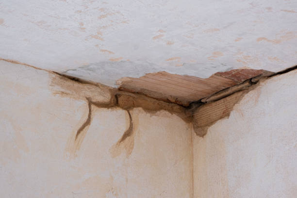Best Water damage restoration cost  in Highland, KS
