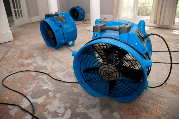 Best 24-hour water damage restoration  in Highland, KS