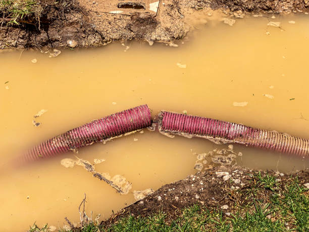 Best Sewage cleanup and water damage restoration  in Highland, KS